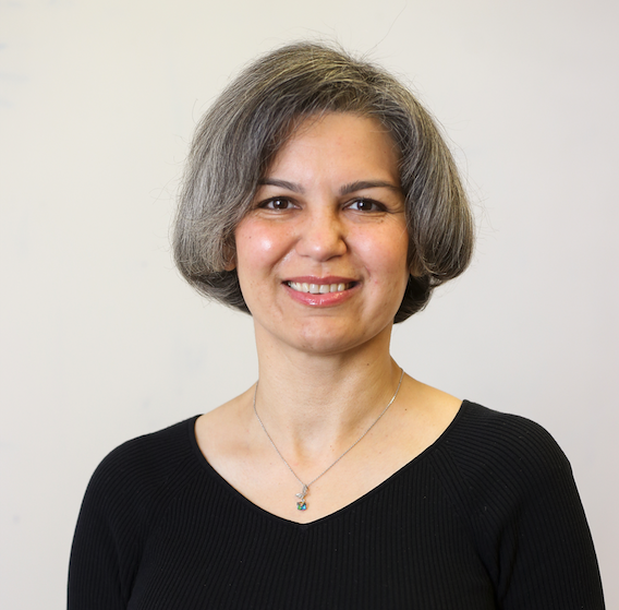 Maryam Majedi Screenshot