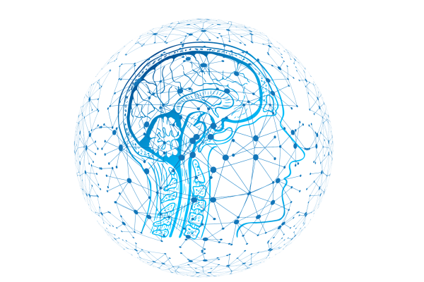 Drawing of human brain in a network circle