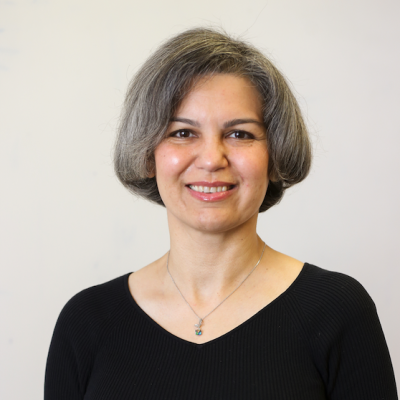 Maryam Majedi Screenshot