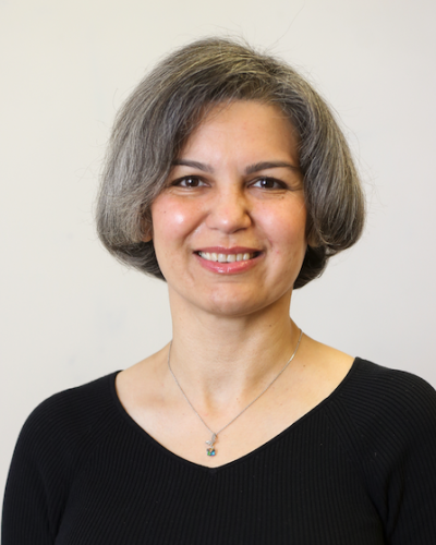 Maryam Majedi Screenshot